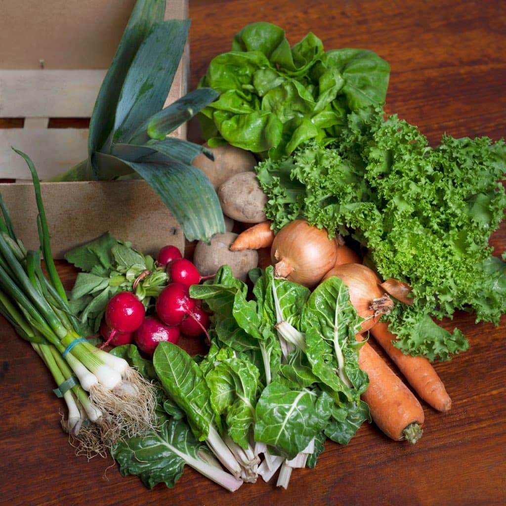 Organic Seasonal Veg Box, Medium